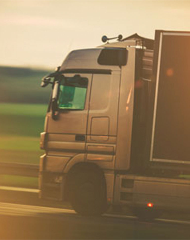 All You Need to Know About How a Reefer Container Works