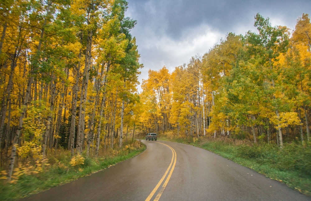 Sustainable logistics practices: We list it for you!