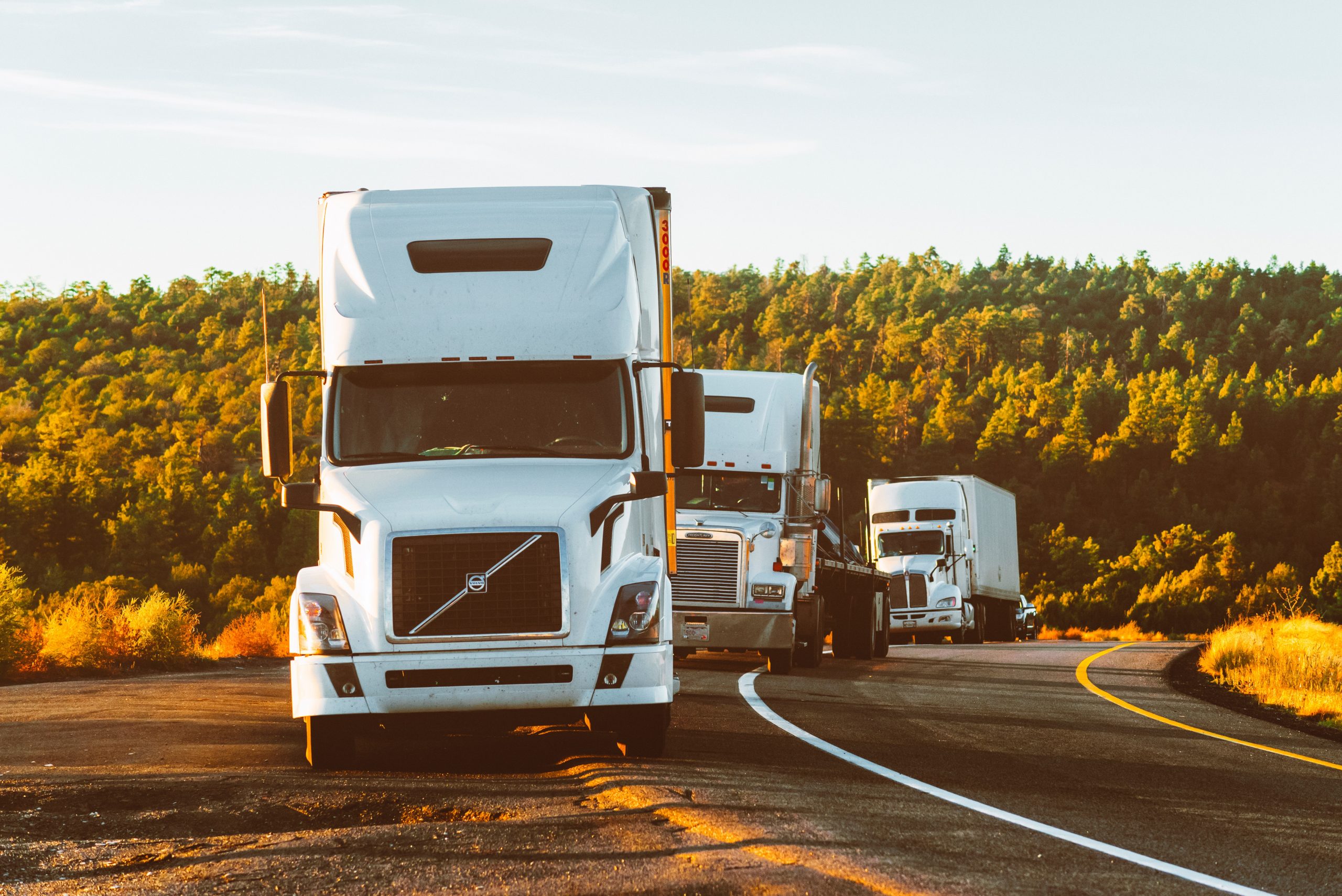 What Industries Benefit From Refrigerated Transportation?