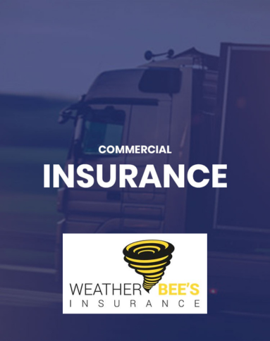 weather-bees-insurance-overlay